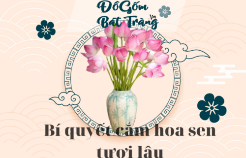 Bí quyết giúp cắm hoa sen tươi lâu